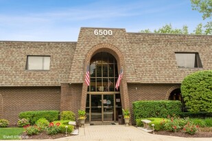 6500 W College Dr, Palos Heights IL - Parking Garage