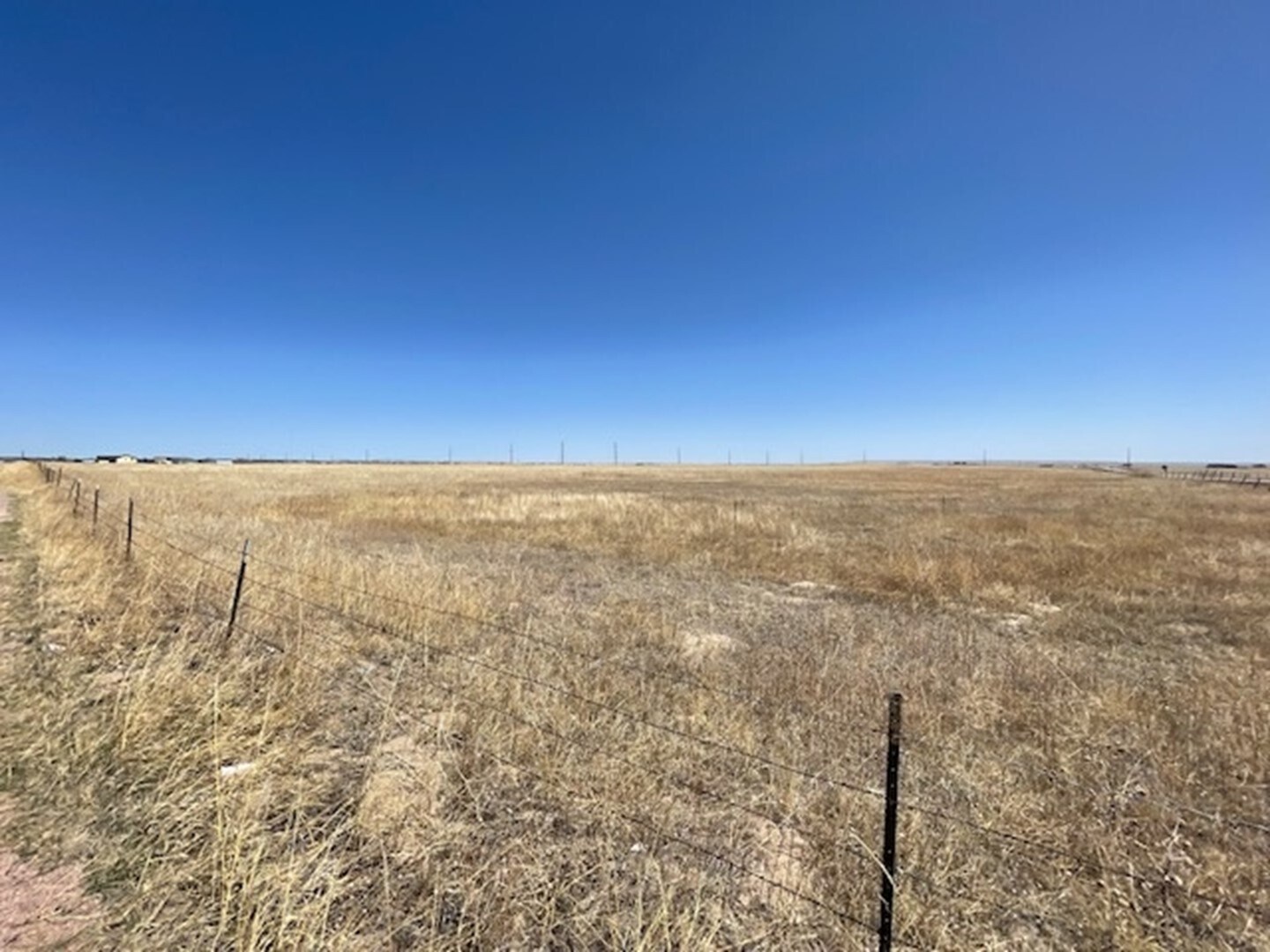 Judge Orr, Peyton, CO for sale Other- Image 1 of 1