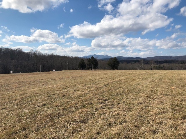 Brockman Park Drive, West & East Commerce St, Amherst, VA for sale - Other - Image 1 of 1