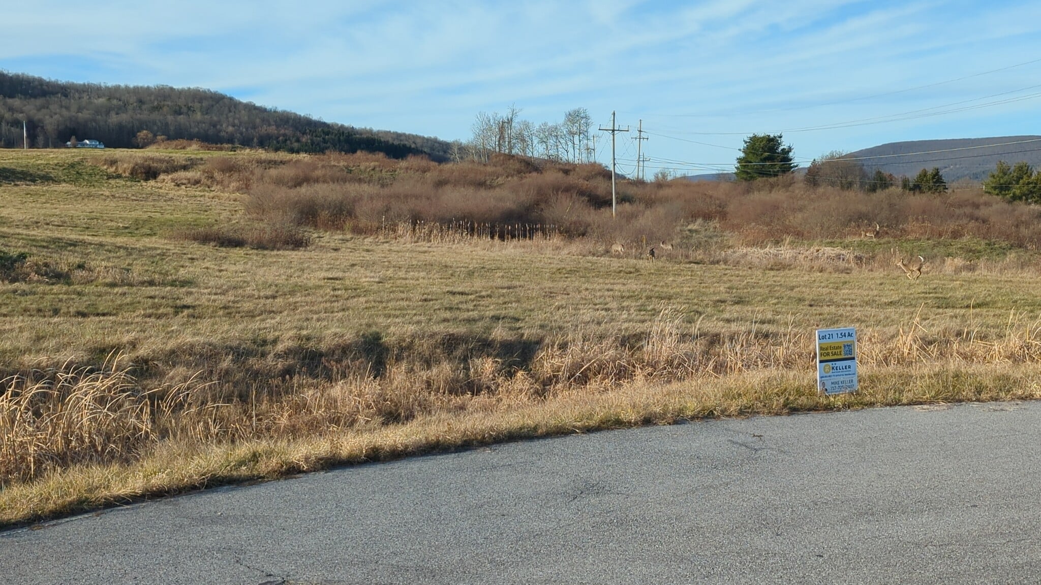 Lot 21 Nadalini Dr, Mansfield, PA for sale Building Photo- Image 1 of 6