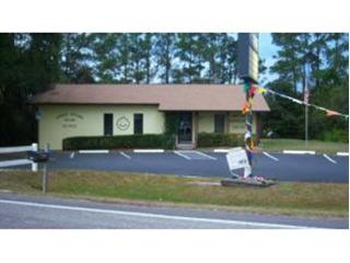 590 S Hwy 314A, Ocklawaha, FL for sale - Primary Photo - Image 1 of 1