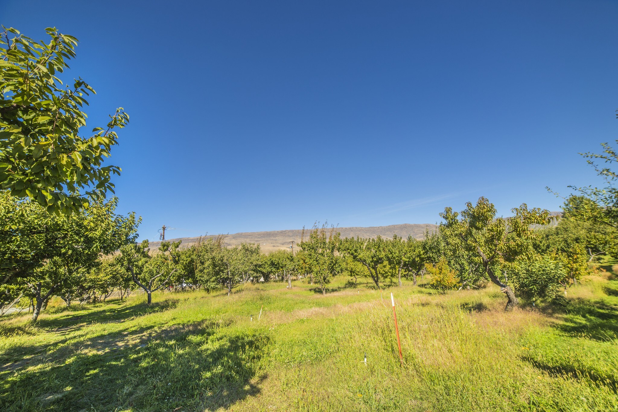 3711 Airport Way, East Wenatchee, WA for sale Primary Photo- Image 1 of 1