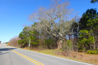 More details for Micro Rd, Micro, NC - Land for Sale