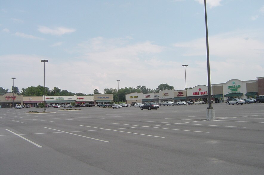 11521 11655 Us Highway 431 Guntersville Al 35976 Big Springs Village Loopnet Com