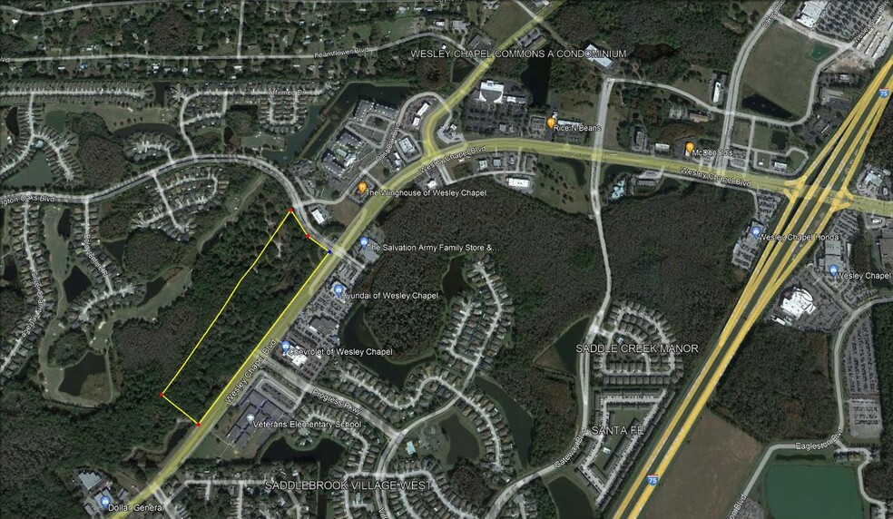 Wesley Chapel Boulevard, Wesley Chapel, FL for sale - Aerial - Image 1 of 1