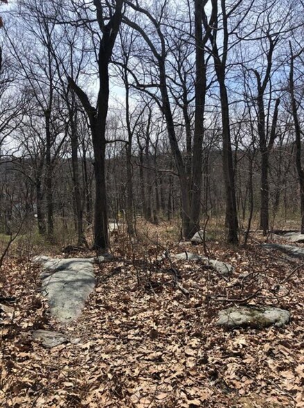 70 Park ln, West Harrison, NY for sale - Other - Image 1 of 1