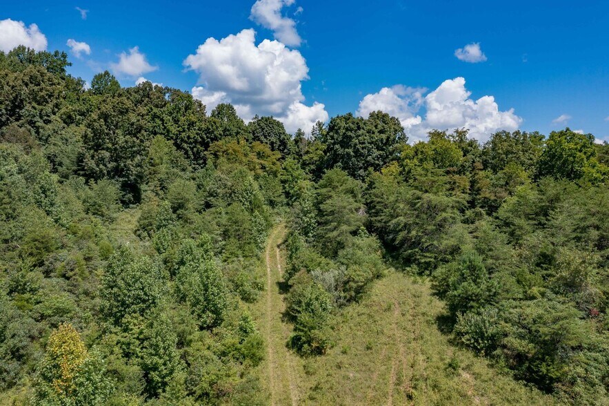 1126 Independence Ave, Mount Carmel, TN 37645