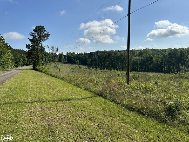 00 Marion Ripley Rd, Dry Branch, GA for sale - Building Photo - Image 1 of 1