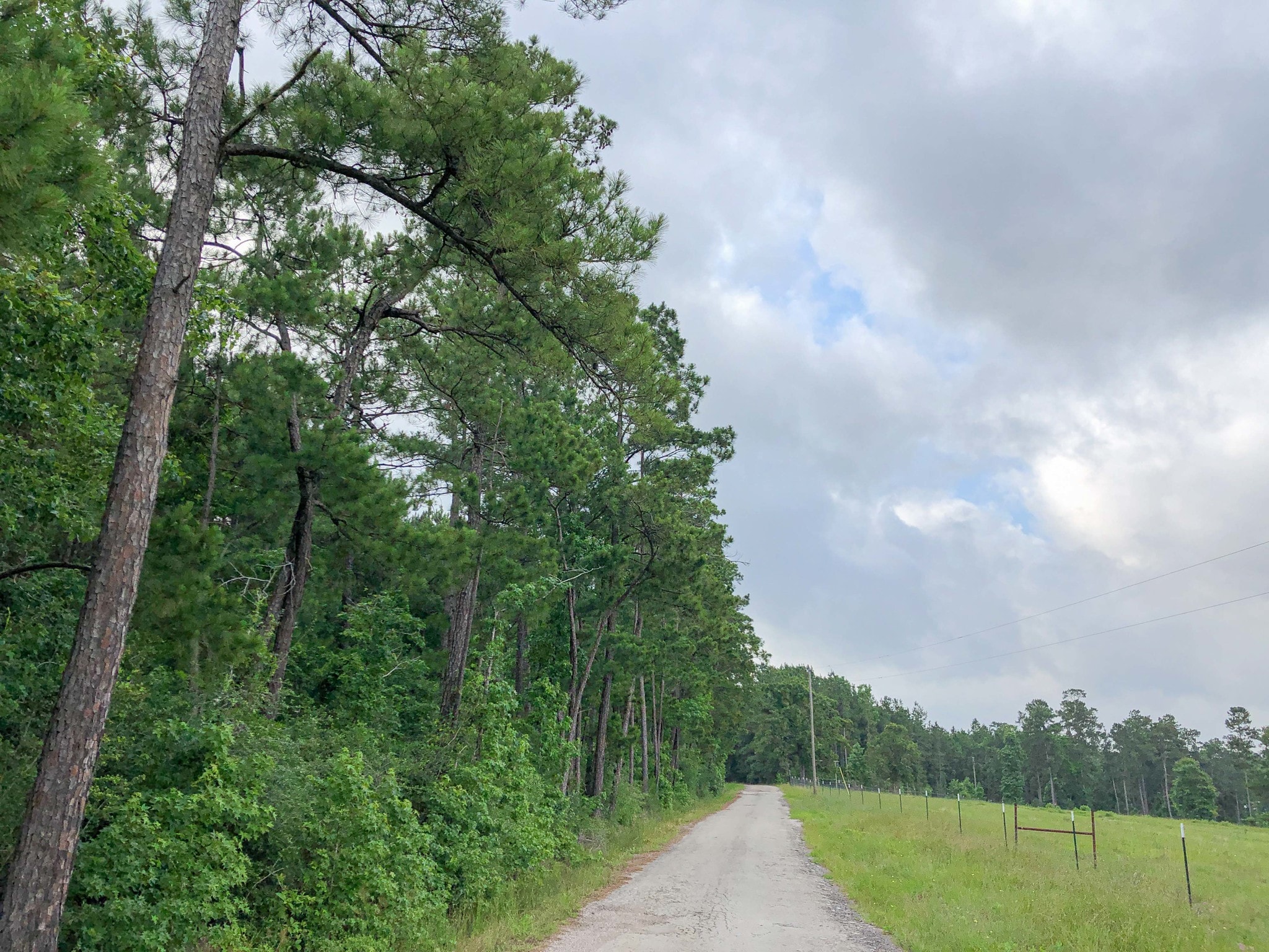 Thornton Rd, Trinity, TX for sale Primary Photo- Image 1 of 1