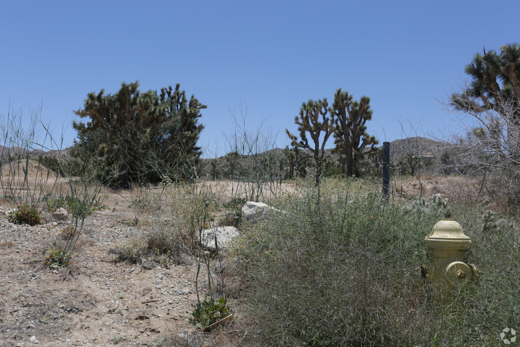 29 Palms Hwy, Yucca Valley, CA for sale Primary Photo- Image 1 of 1