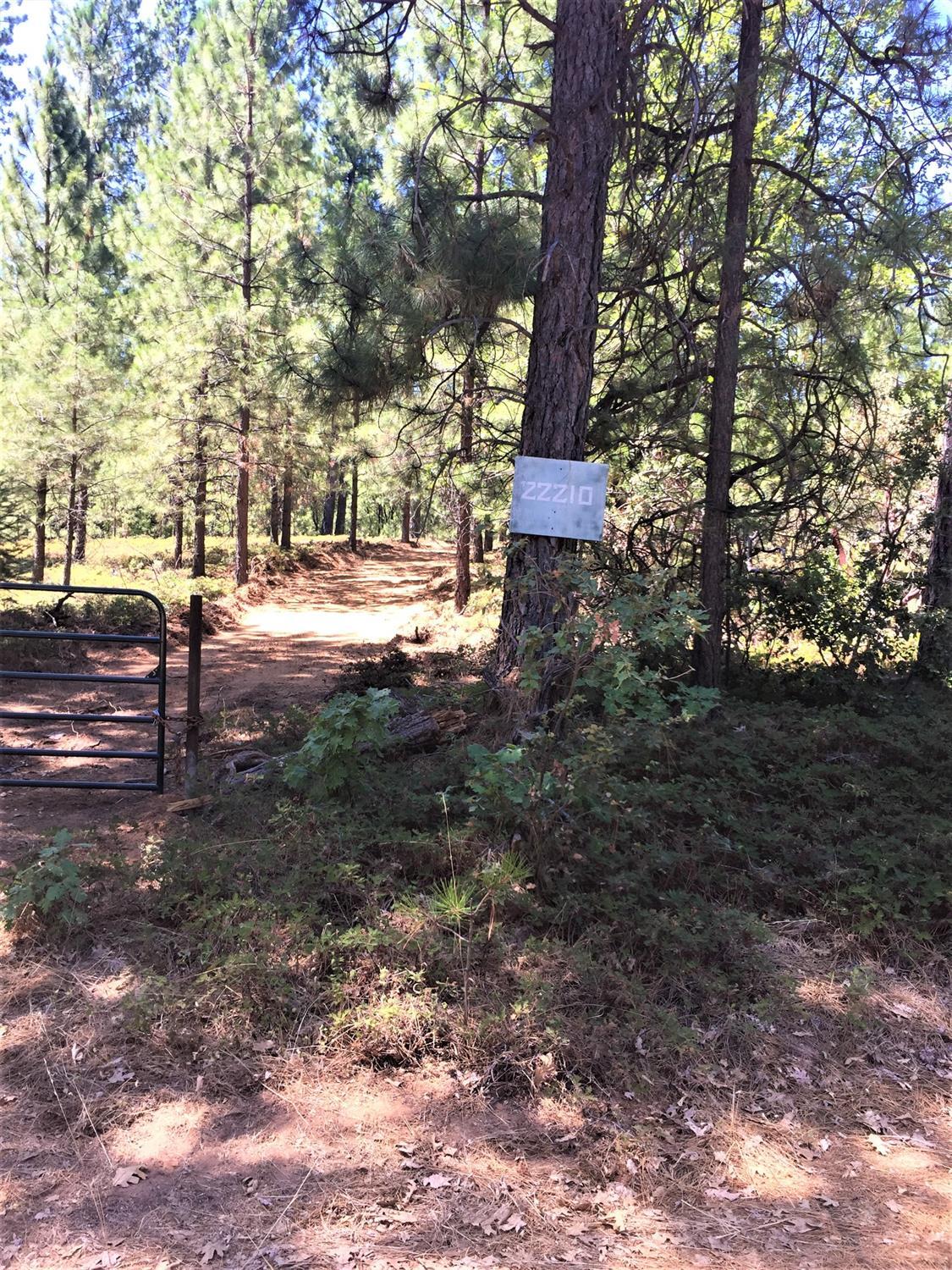 22210 Fiddletown Rd, Fiddletown, CA 95629 Take in the Splendor