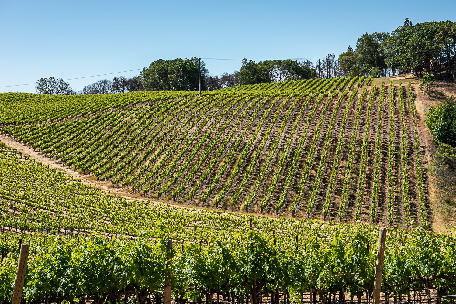 6923 Plum Ranch Rd, Santa Rosa, CA for sale Other- Image 1 of 1