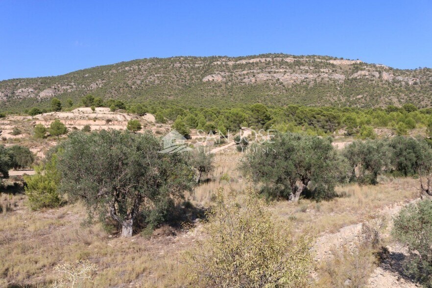 Land in MONÒVER for sale - Building Photo - Image 1 of 17