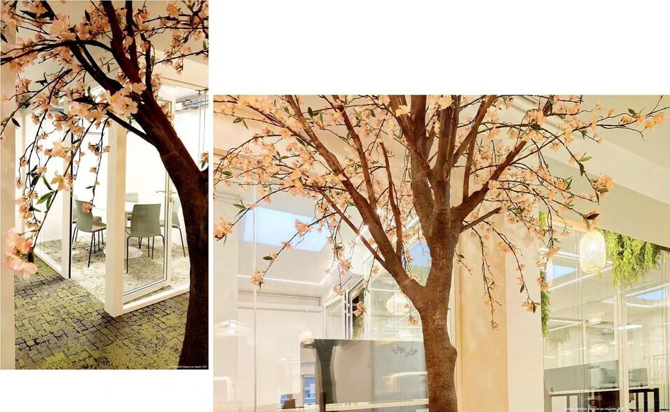 Office in Paris for lease - Interior Photo - Image 2 of 17