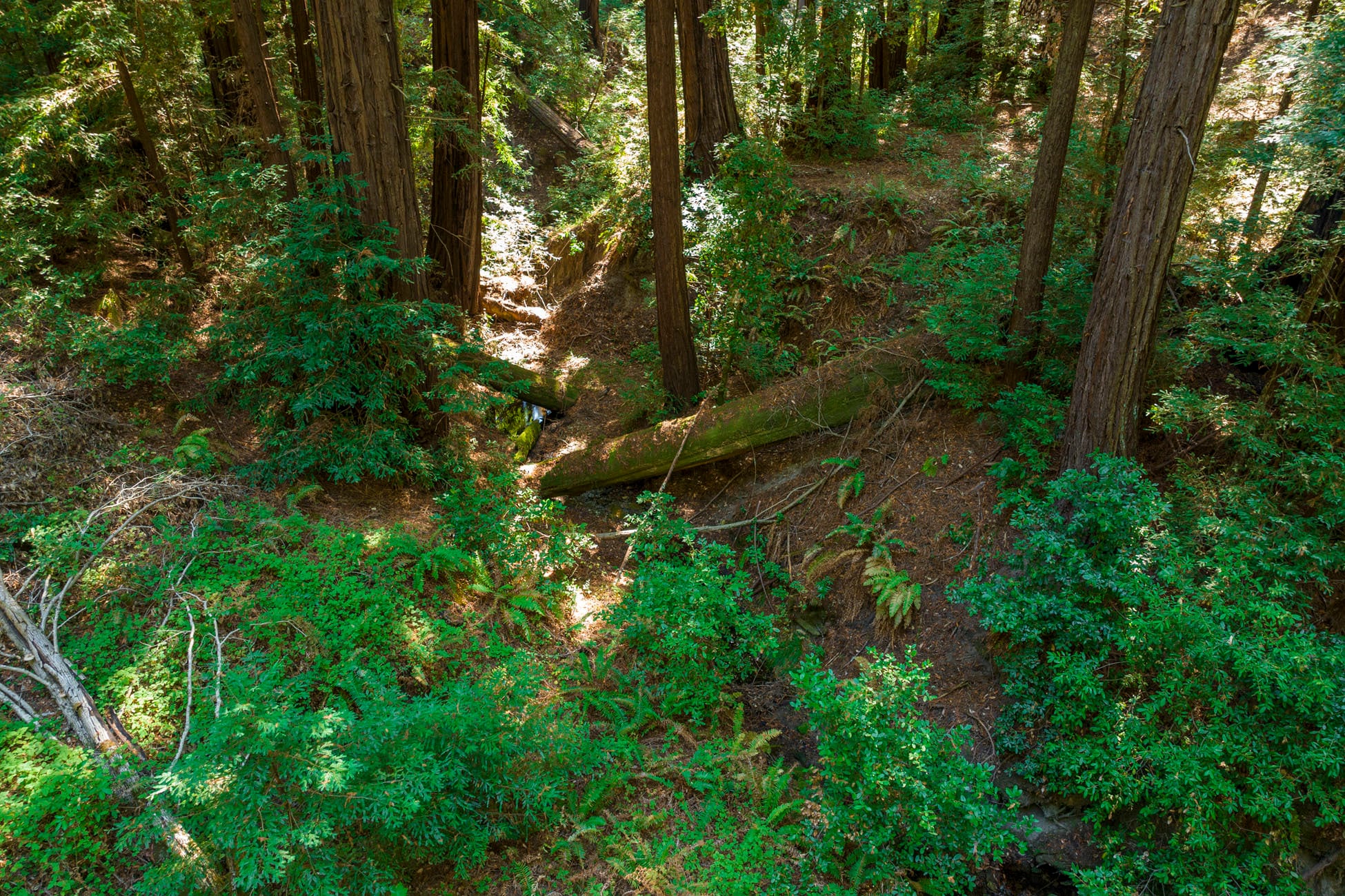2372 McKenzie Creek rd, Scotts Valley, CA for sale Primary Photo- Image 1 of 55