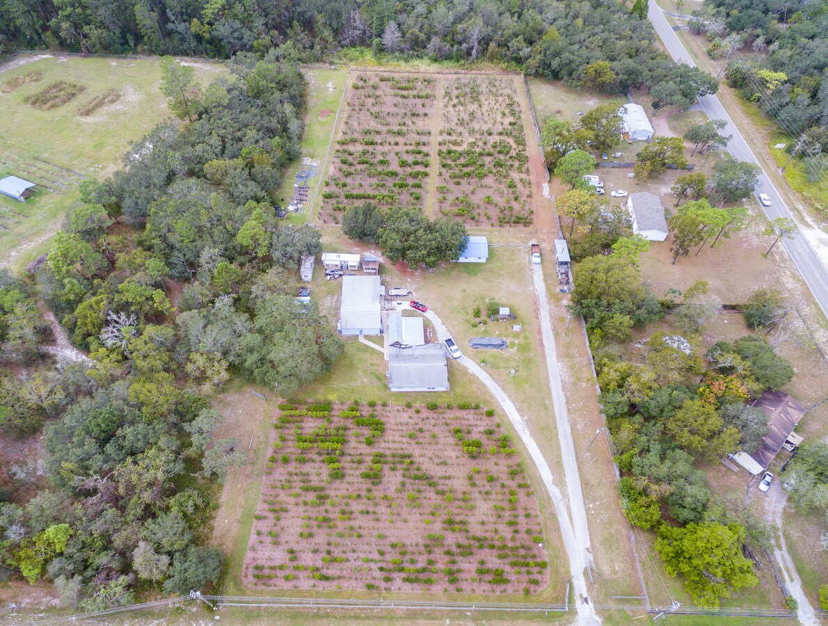 12839 Kitten Trl, Hudson, FL 34669