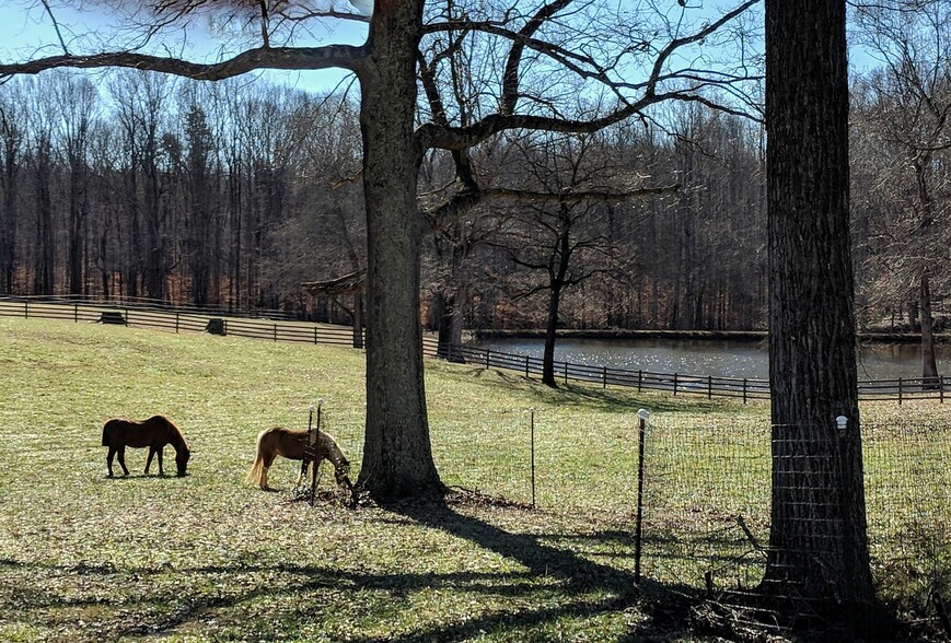 7600 Millbrook Rd, Summerfield, NC for sale - Primary Photo - Image 2 of 5