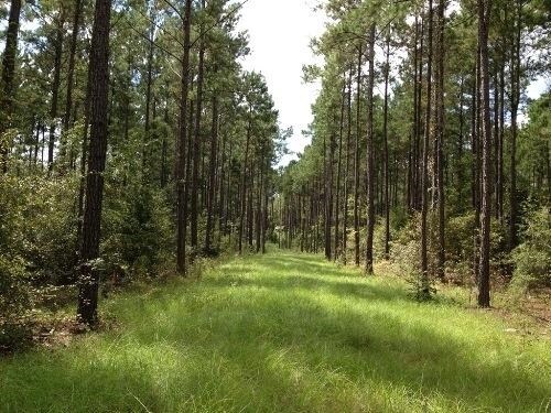 Race Track Rd, Sumter, SC for sale - Primary Photo - Image 1 of 1