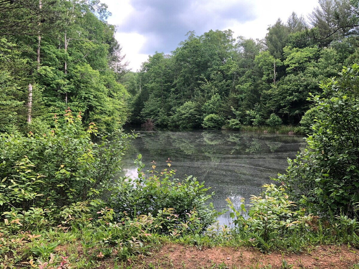 View Photo