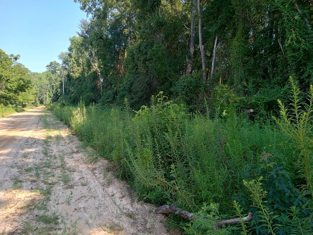 0 Perry Horton rd, Adrian, GA 31002 0 Perry Horton Rd Adrian GA 31002