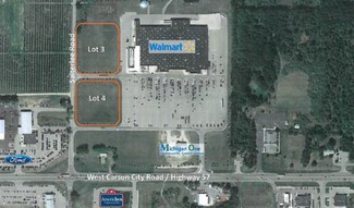 More details for 10771 W Carson City Rd, Greenville, MI - Land for Sale