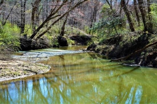 0 County Road 35, Brilliant, AL for sale Primary Photo- Image 1 of 1