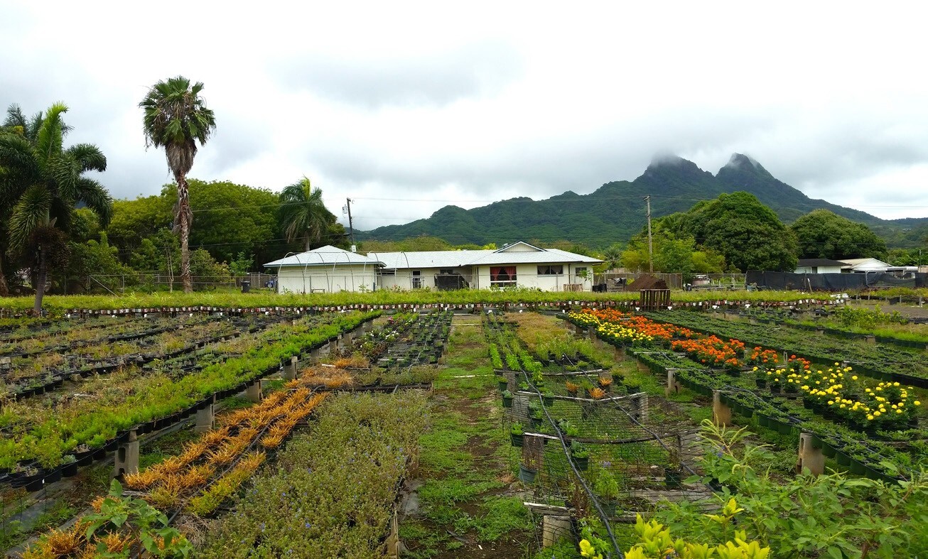 41-650 Kaulukanu St, Waimanalo, HI for sale Primary Photo- Image 1 of 1