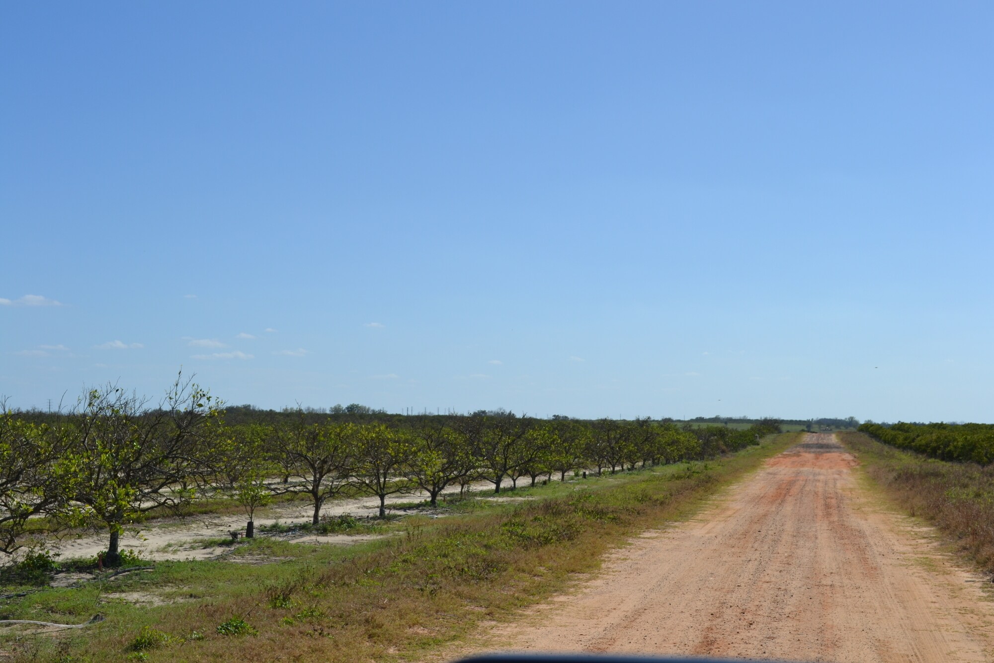 Albritton Road, Bartow, FL 33830 Sand Lake Grove