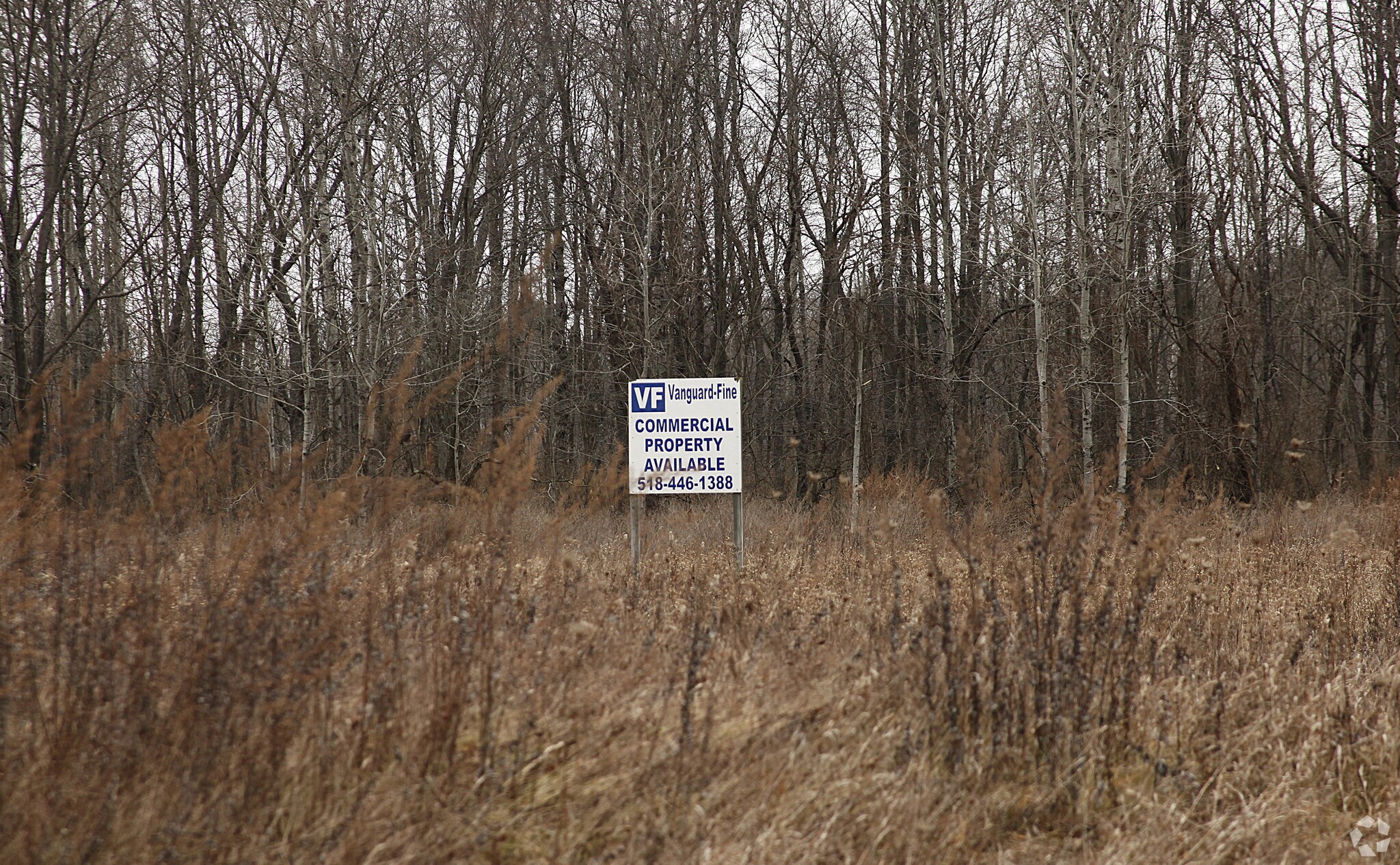 6789 Rt-23, Oneonta, NY for sale Primary Photo- Image 1 of 1