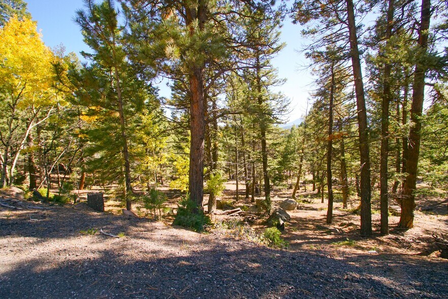 30402 Kings Valley E, Conifer, CO for sale - Other - Image 2 of 3
