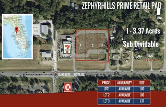 More details for Eiland Blvd, Zephyrhills, FL - Land for Sale