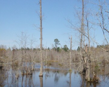 Highway 341, Eastman, GA for sale Other- Image 1 of 1