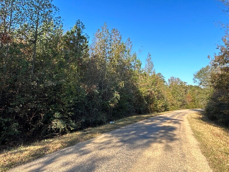 12106 Rickey Rd, Bastrop, LA for sale - Primary Photo - Image 1 of 1