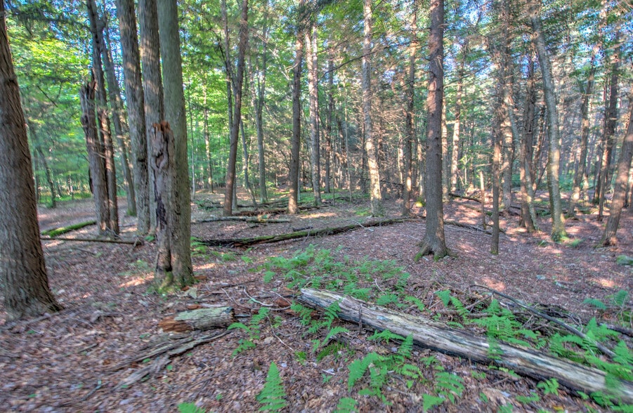 167 Route 191, Cresco, PA for lease - Building Photo - Image 2 of 61