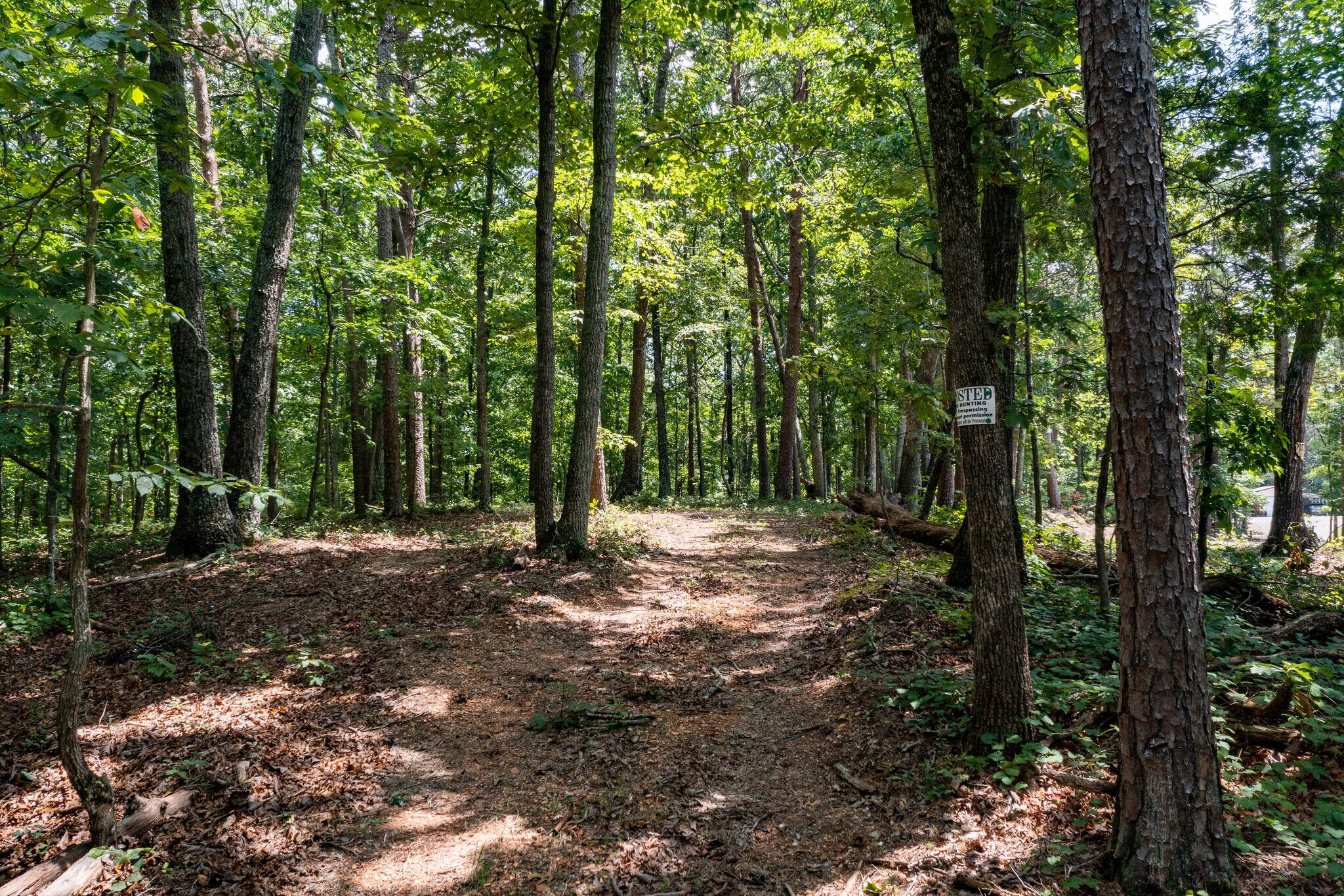 96 Cagle Rd NE, Fairmount, GA 30139 Land for Sale