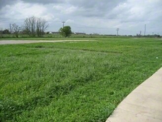 737 Old Austin Hwy, Bastrop, TX for sale - Primary Photo - Image 1 of 1