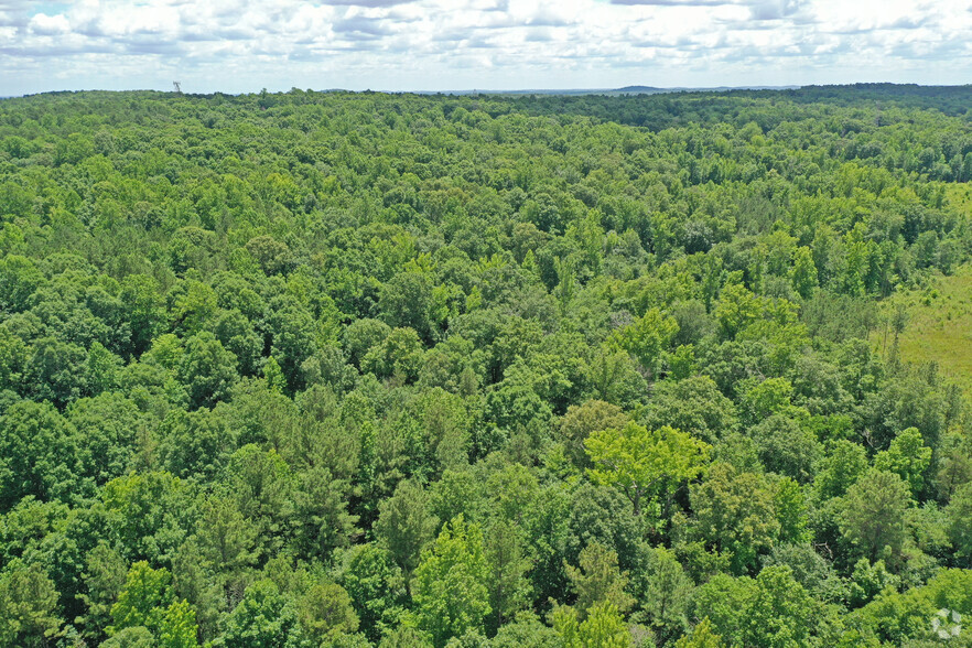 Old Nc Highway 86, Hillsborough, NC for lease - Building Photo - Image 3 of 3