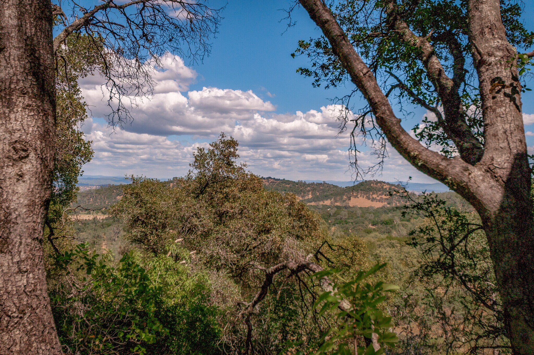 9941 Spring Hill Ranch Rd, Angels Camp, CA for sale Other- Image 1 of 1