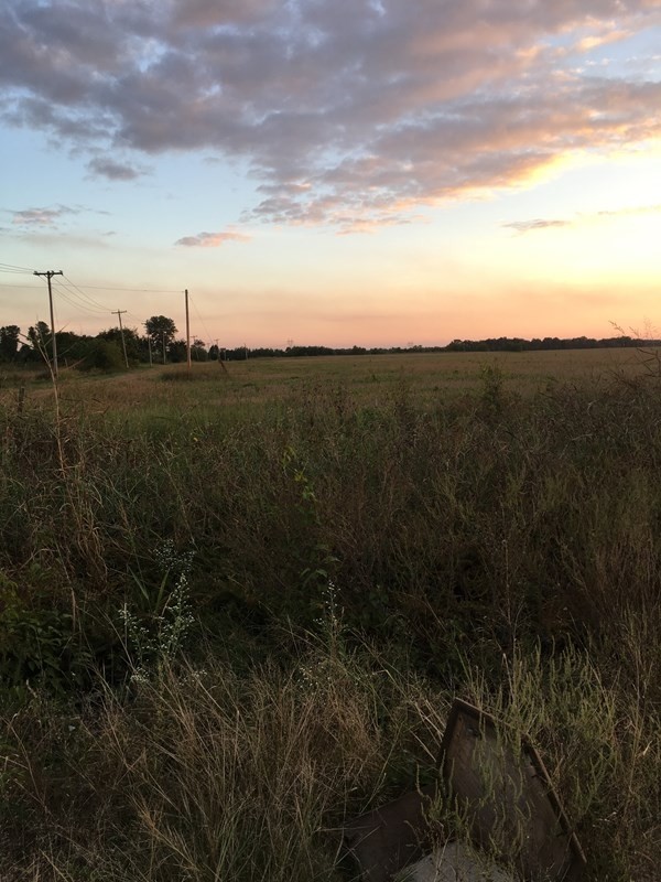 0 Bollinger Rd, West Memphis, AR for sale Primary Photo- Image 1 of 1