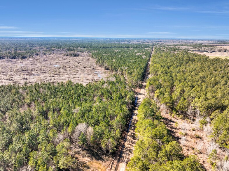 0000 Hwy105 Hwy, Sour Lake, TX for sale - Building Photo - Image 2 of 20