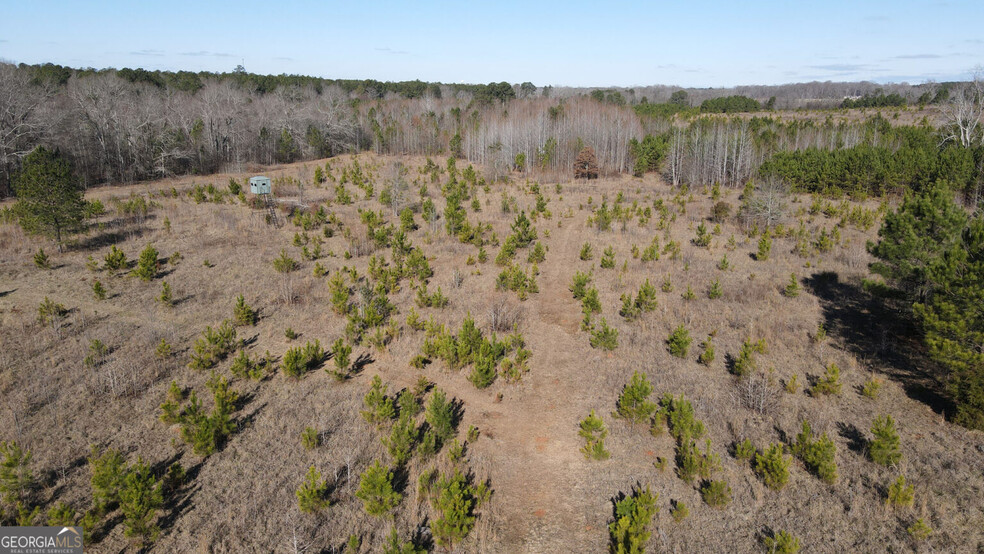 0 Old Chipey Rd, Pine Mountain, GA for sale - Aerial - Image 3 of 5