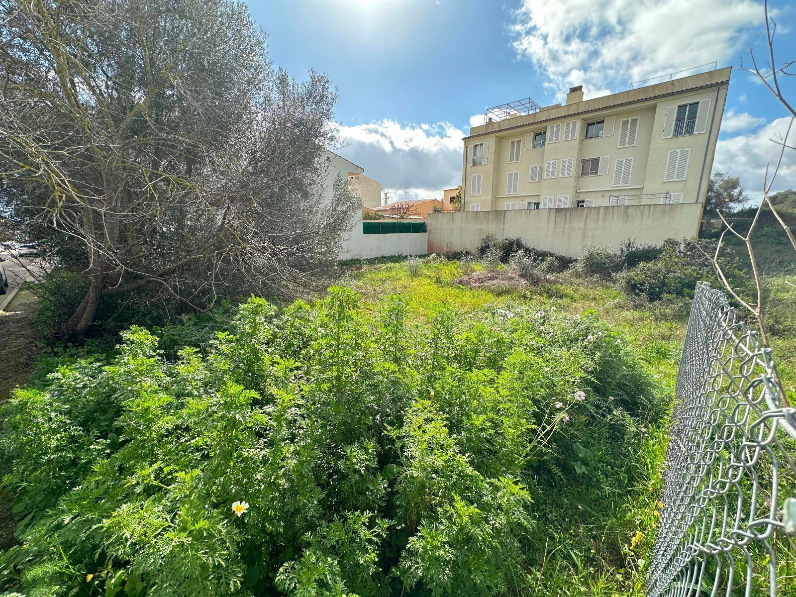 Land in Artà, Islas Baleares for sale Construction Photo- Image 1 of 3