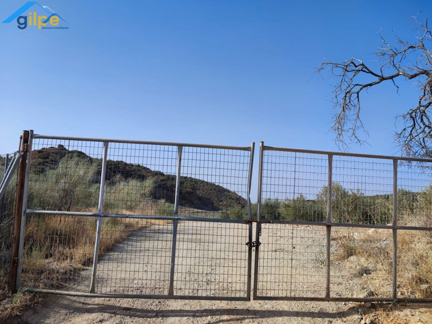 Land in Morón de la Frontera for sale Building Photo- Image 1 of 8