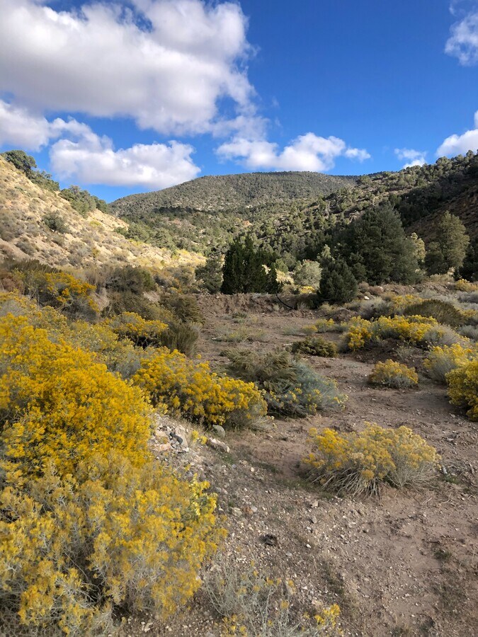 Pershing County, Lovelock, NV 89419 Fencemaker Project Antimony