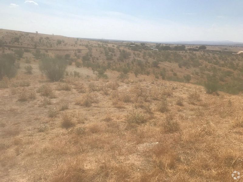 Land in Quijorna, Madrid for sale Primary Photo- Image 1 of 14