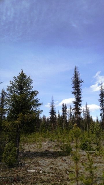 View Photo