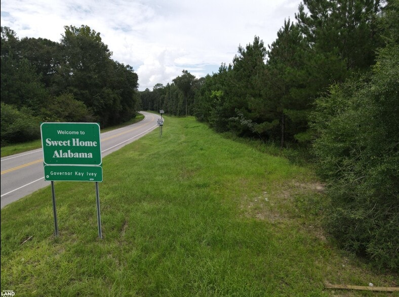 0 State 167 hwy, Hartford, AL for sale - Building Photo - Image 2 of 7