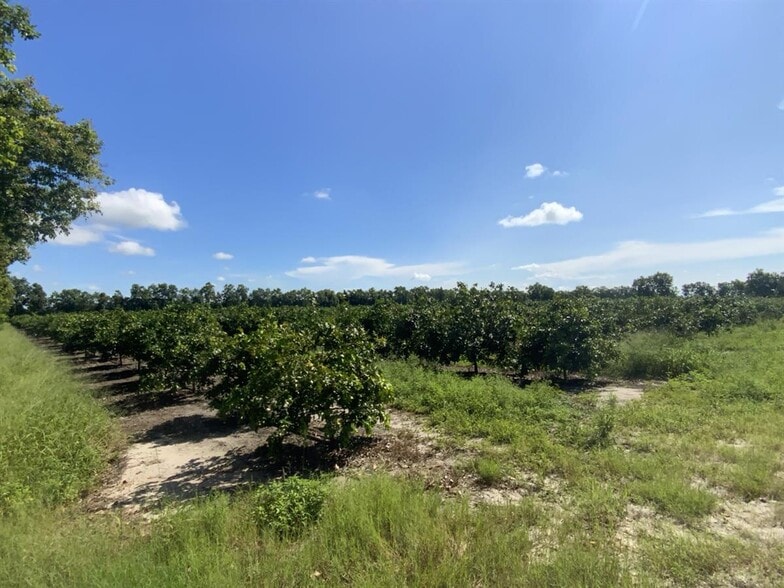 ORANGE AVENUE EXTENSION Ave, Fort Pierce, FL for sale - Other - Image 2 of 6