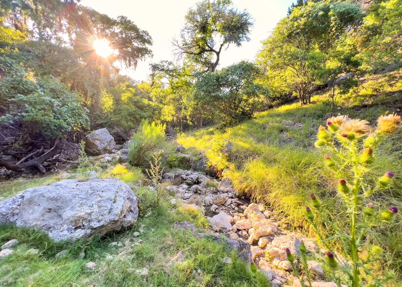 11725 Rebecca Creek Rd, Spring Branch, TX 78070