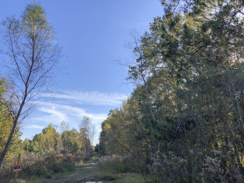 Off Tram Rd, Splendora, TX 77372